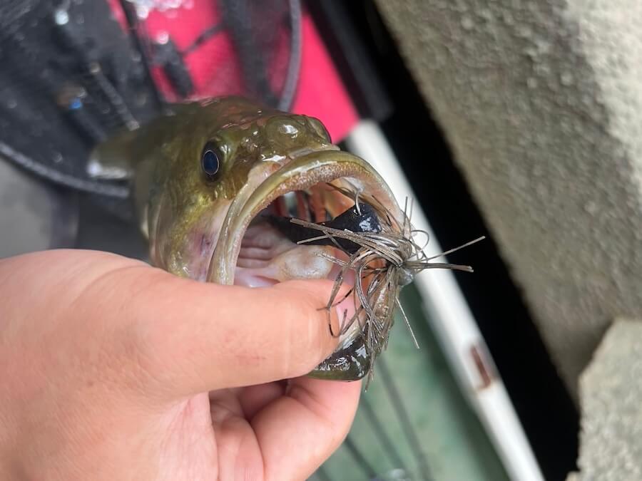 |【大会中に起きた激しい腹痛】それでも戦い抜いて上位入賞!「ここの水路、ボートでも入れたんだ…」