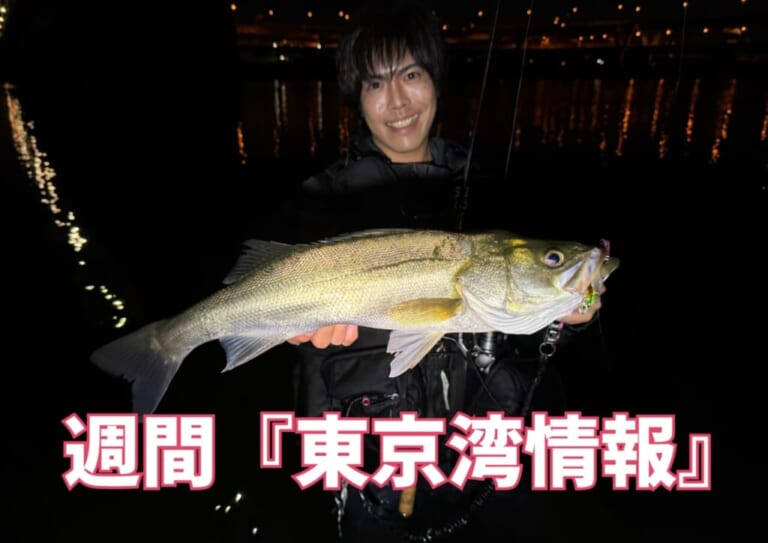 荒川サッパ祭り開催！？ 余裕のツ抜けで活況か！　【週間！東京湾シーバス情報】