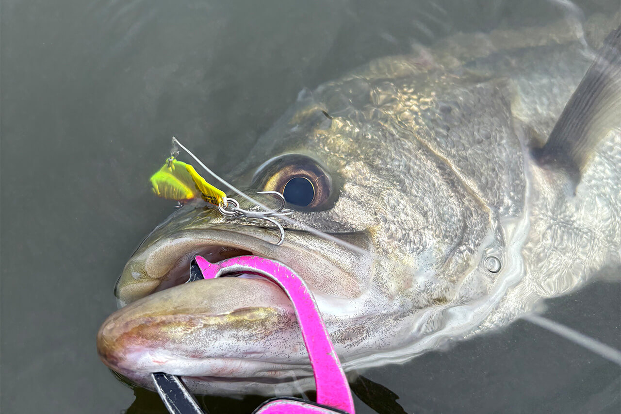 |「全身全霊でオススメです」デイゲームもナイトゲームも。この2つのルアーを使い分けてみてください。