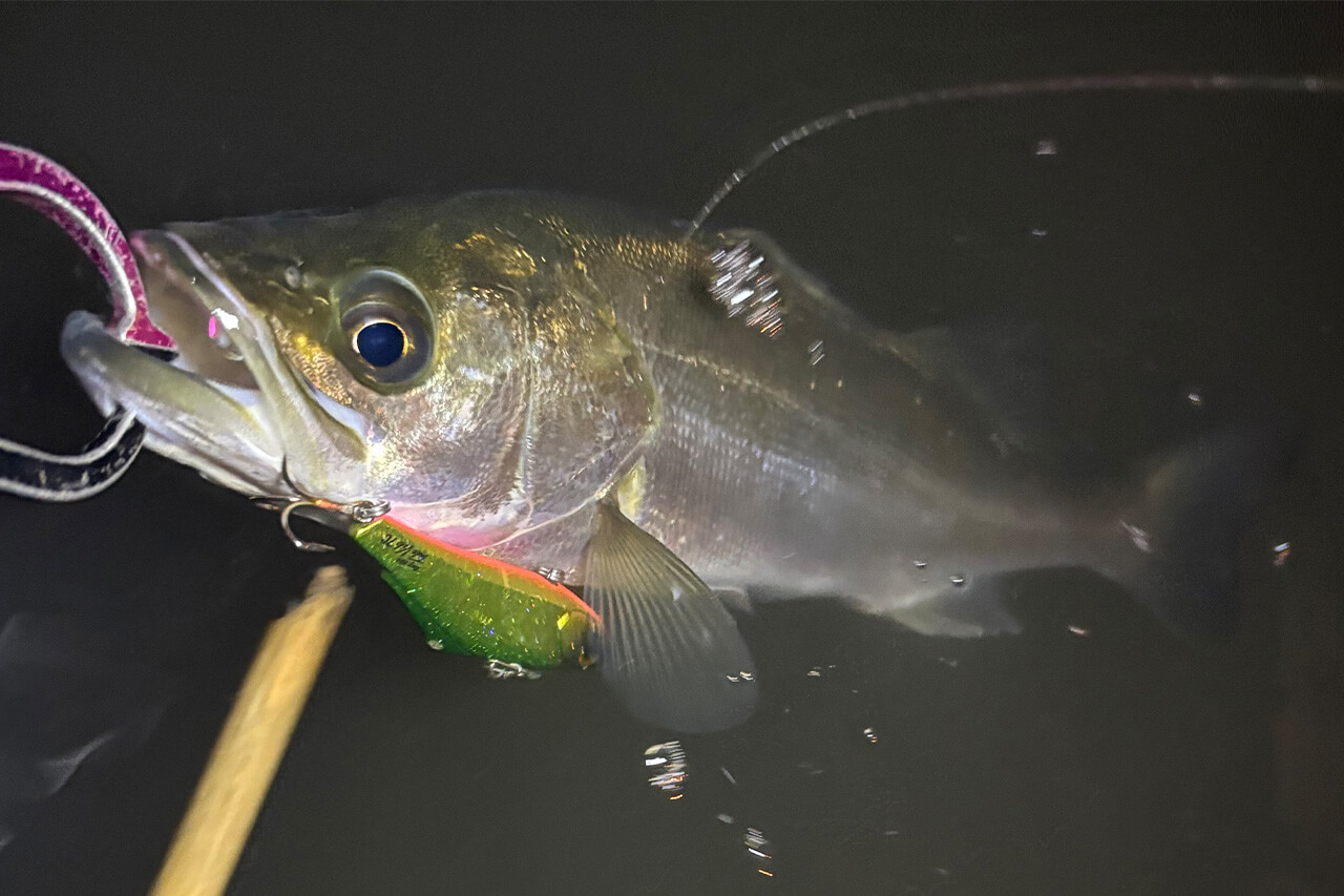 |「全身全霊でオススメです」デイゲームもナイトゲームも。この2つのルアーを使い分けてみてください。