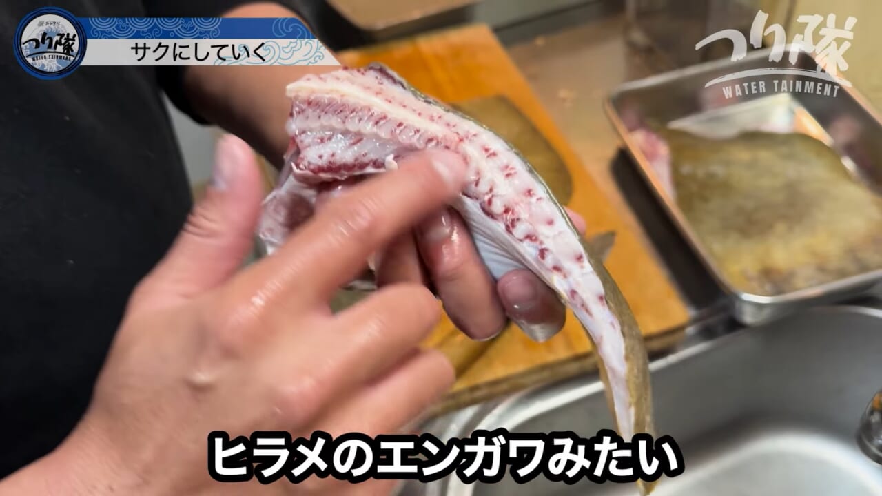 |「怖い!怖い!」「うわ、強すぎ」刺されたら命の危険も。毒針をもつ“身近な毒魚”を釣って食べてみたら…。気になる味はまさかの? 「不思議な甘みが…」