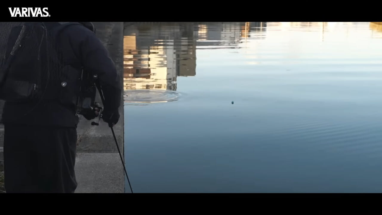 |極寒デイゲーム!マイクロベイトをヒントにビッグベイトゲームを成立させる読み、道具、テクニック