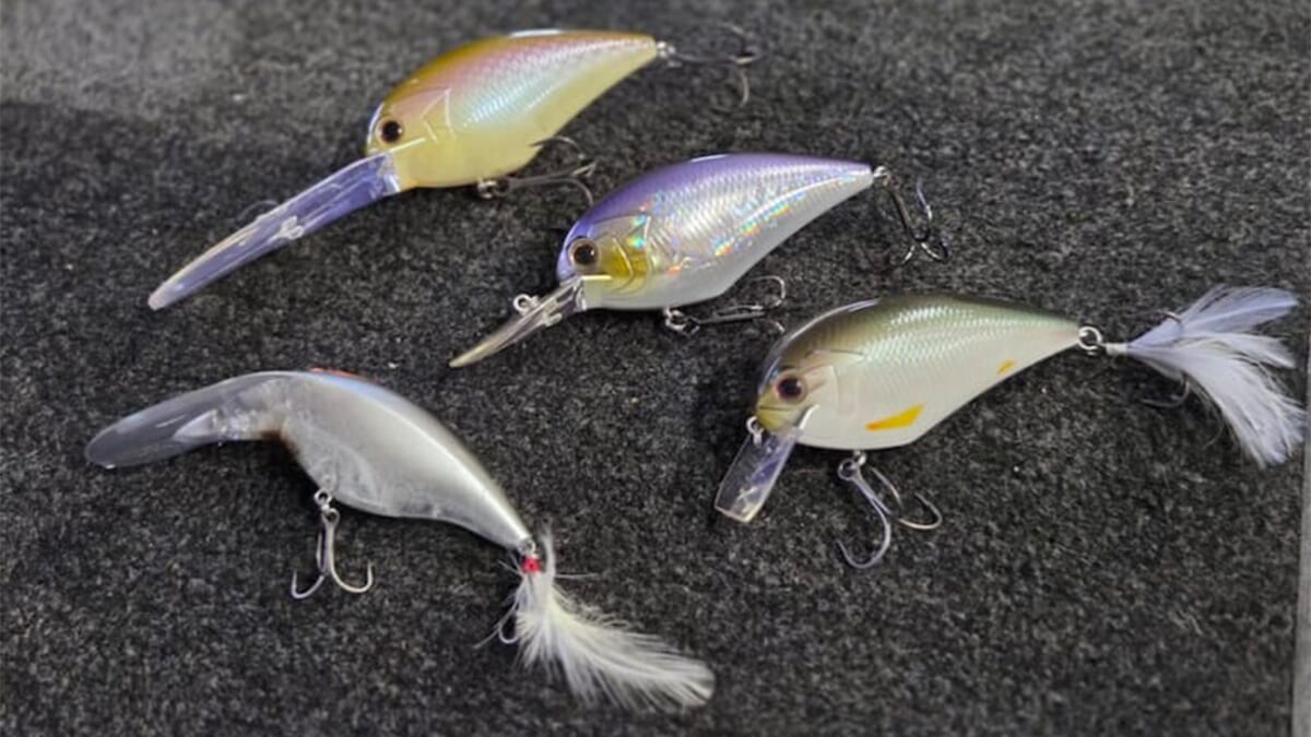 |【マグナムクランキングの秋、到来】2メートルレンジを巻いて浮かせて食わす!「朝の気温が1桁、これがキーです」