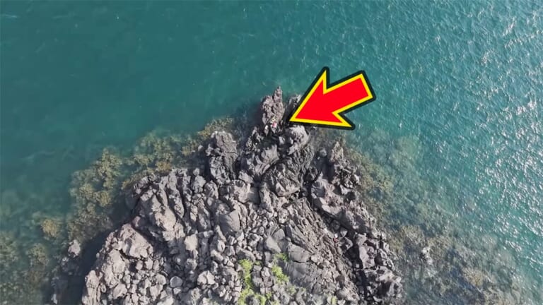 「キタ！キタ！」「自然界には存在しないはずなのに…」事故で逃げ出した“人工怪魚”が潜む海。釣りあげるべく泊まり込みで狙ったら、まさかの結果に…。