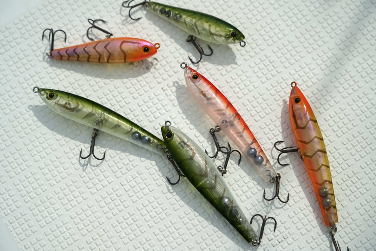 |【もりぞーのチニング全国行脚】界隈をざわつかせる新商品続々!「DAIWAの本気を感じさせるアイテムに期待!」