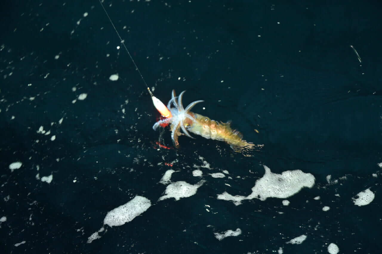 ｜プロを見てきた“釣りライター”が選ぶオススメPEライン3選。性能を長持ちさせる方法も伝授！「すごく効果を体感できるはず…」