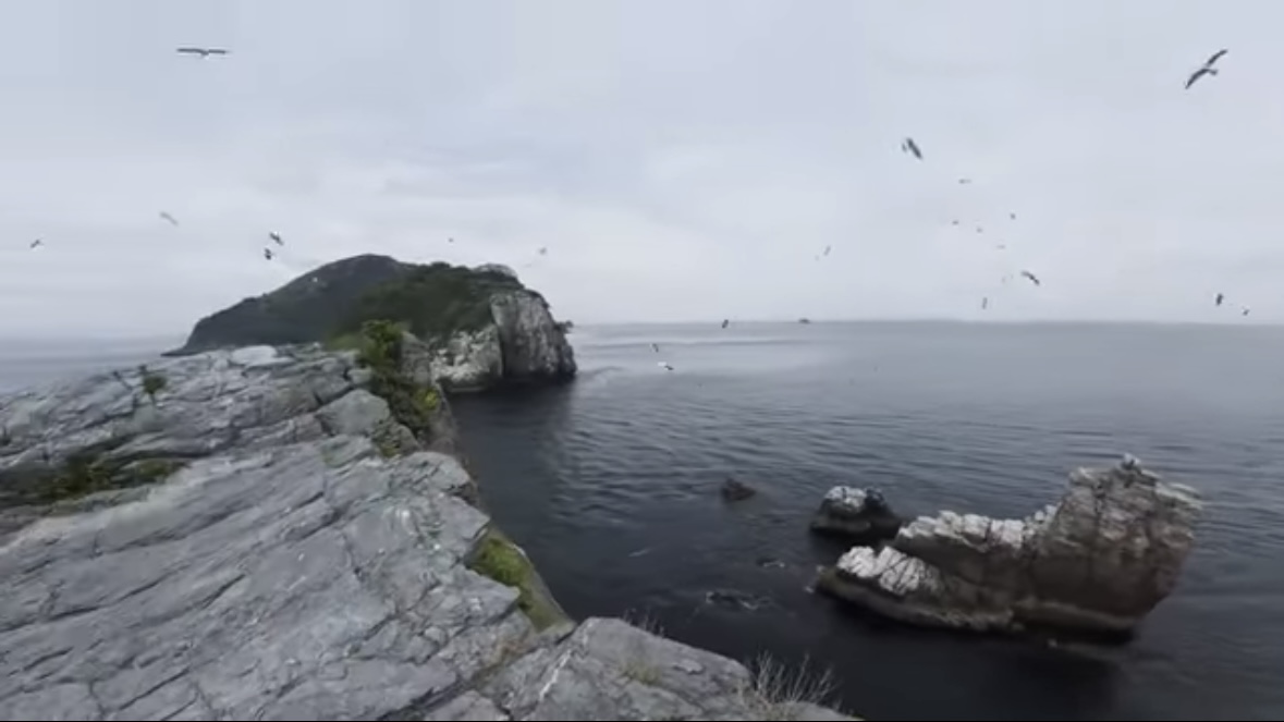 |「キタ!コレ!」“激流に浮かぶ無人島”の『大型魚』を狙った結果…。「水中映像がすごすぎ」「映像美だわ」などの反響多数!