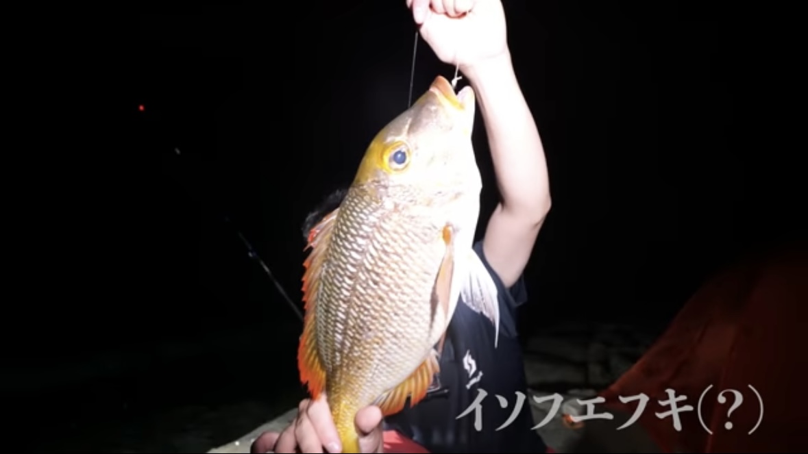 ｜「うわ、来た！ヤバい！」人の気配がない“秘境”で釣りをした結果。離島のポテンシャルがヤバすぎる。「この魚の巣になっているかもしれない…」