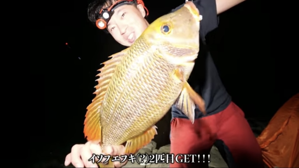 |「うわ、来た!ヤバい!」人の気配がない“秘境”で釣りをした結果。離島のポテンシャルがヤバすぎる。「この魚の巣になっているかもしれない…」