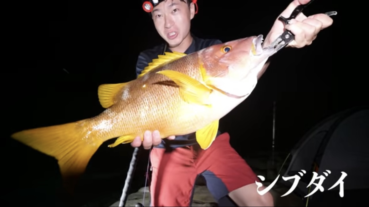 ｜「うわ、来た！ヤバい！」人の気配がない“秘境”で釣りをした結果。離島のポテンシャルがヤバすぎる。「この魚の巣になっているかもしれない…」