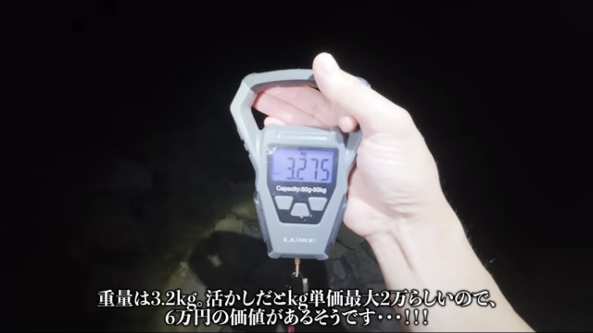 ｜「うわ、来た！ヤバい！」人の気配がない“秘境”で釣りをした結果。離島のポテンシャルがヤバすぎる。「この魚の巣になっているかもしれない…」