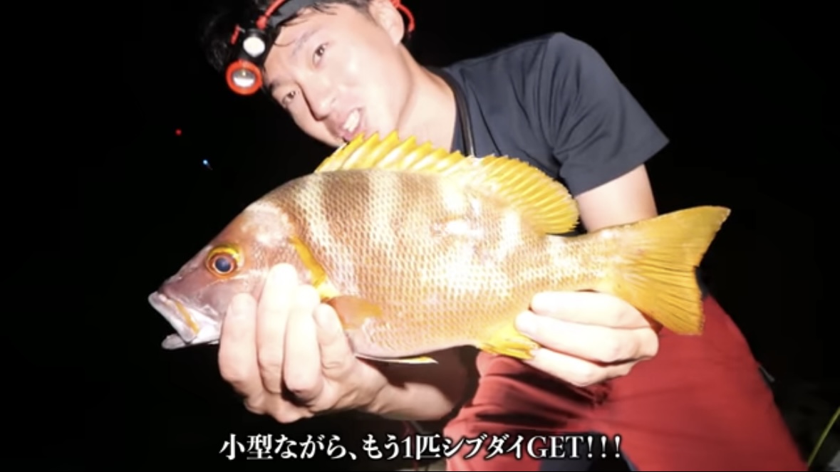 ｜「うわ、来た！ヤバい！」人の気配がない“秘境”で釣りをした結果。離島のポテンシャルがヤバすぎる。「この魚の巣になっているかもしれない…」