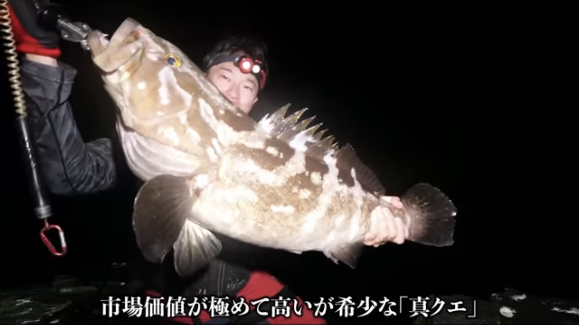 ｜「キタ！キタ！」「自然界には存在しないはずなのに…」事故で逃げ出した“人工怪魚”が潜む海。釣りあげるべく泊まり込みで狙ったら、まさかの結果に…。