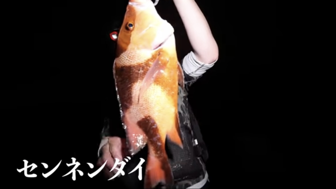 ｜「キタ！キタ！」「自然界には存在しないはずなのに…」事故で逃げ出した“人工怪魚”が潜む海。釣りあげるべく泊まり込みで狙ったら、まさかの結果に…。