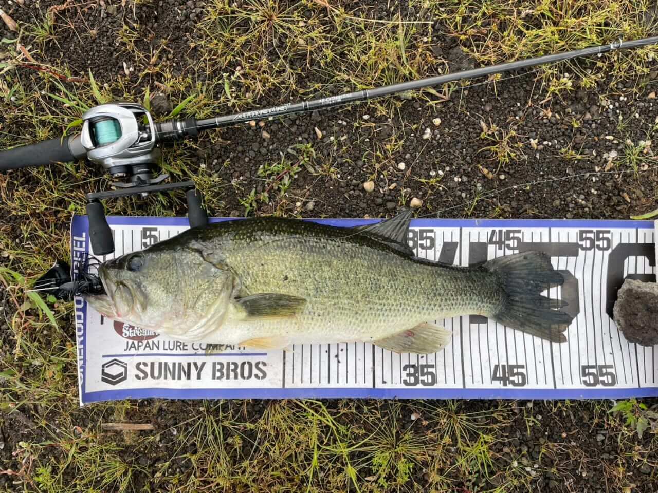 ｜【ビッグフィッシュ降臨!?】トップウォーター最強決定戦 第2回 TOP ONEに潜入取材!!