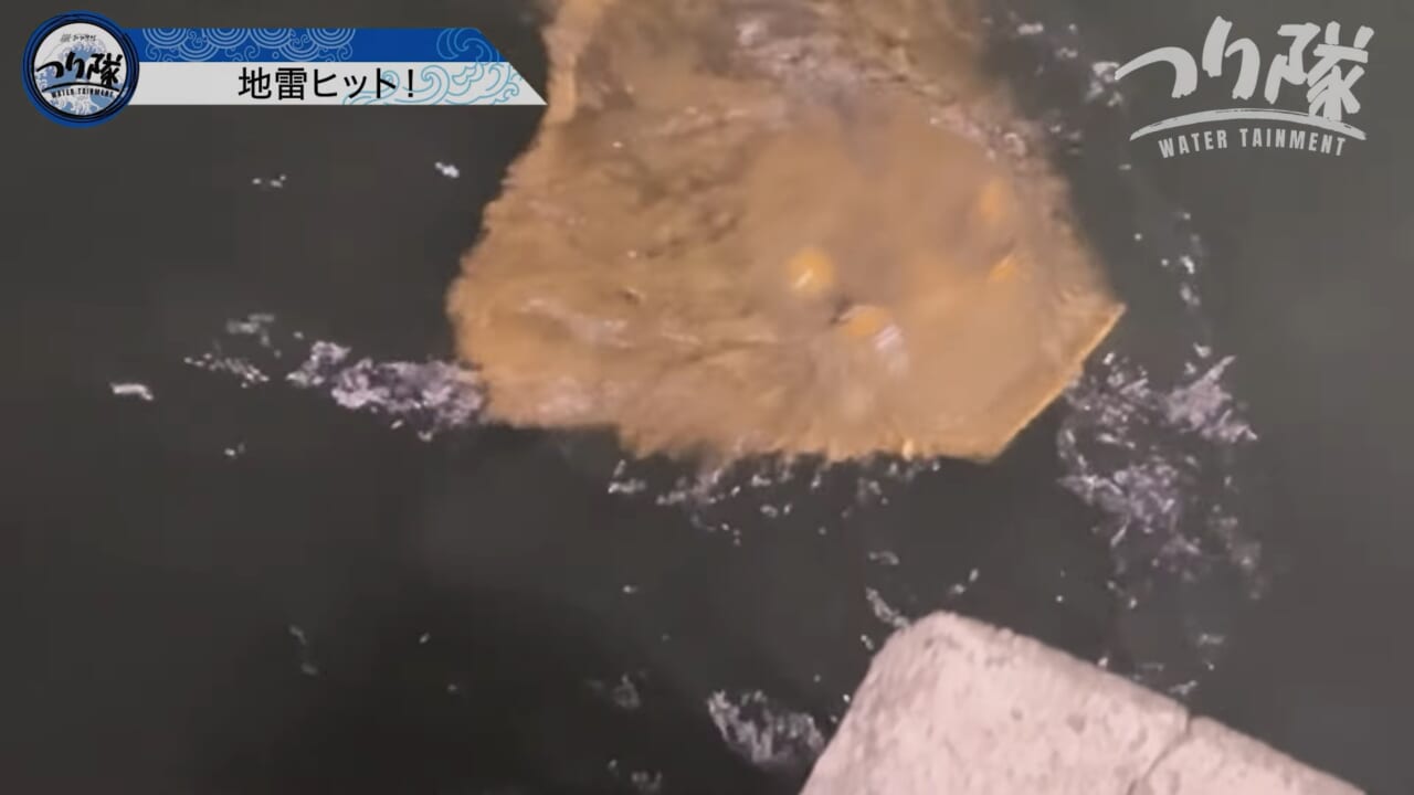 |「怖い!怖い!」「うわ、強すぎ」刺されたら命の危険も。毒針をもつ“身近な毒魚”を釣って食べてみたら…。気になる味はまさかの? 「不思議な甘みが…」