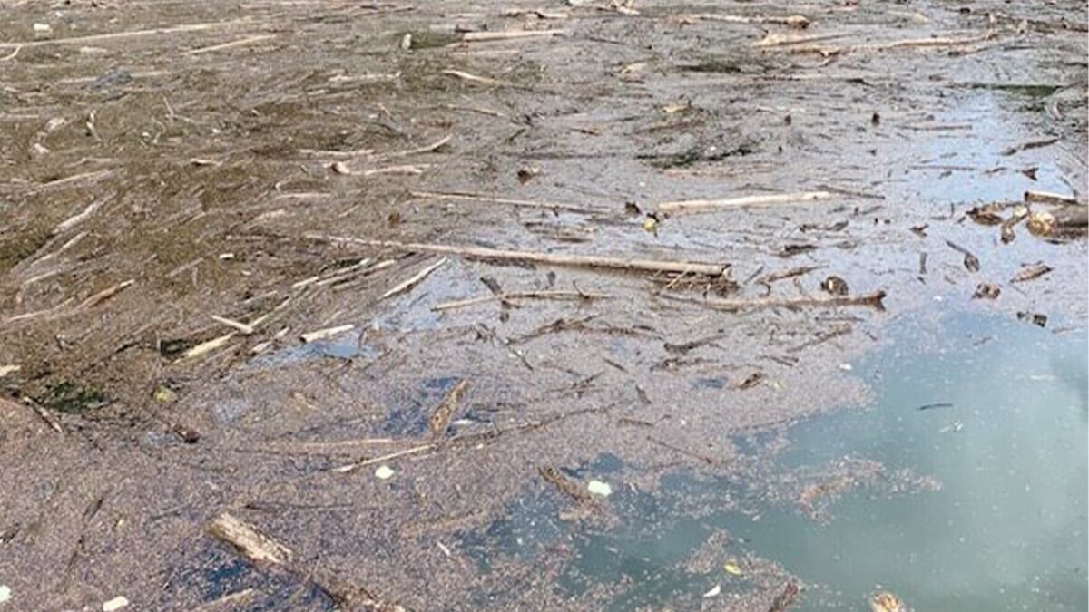 |秋が深まり、ビッグフィッシュが狙える状況だったが、果たして…。「難しいですね」