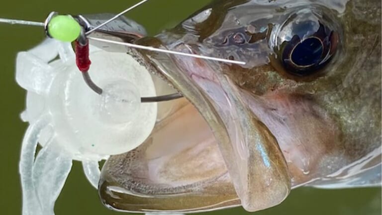 『キングジミーヘンジ』は簡単な使い方で爆釣!? 話題のルアーを亀山湖で実釣解説。