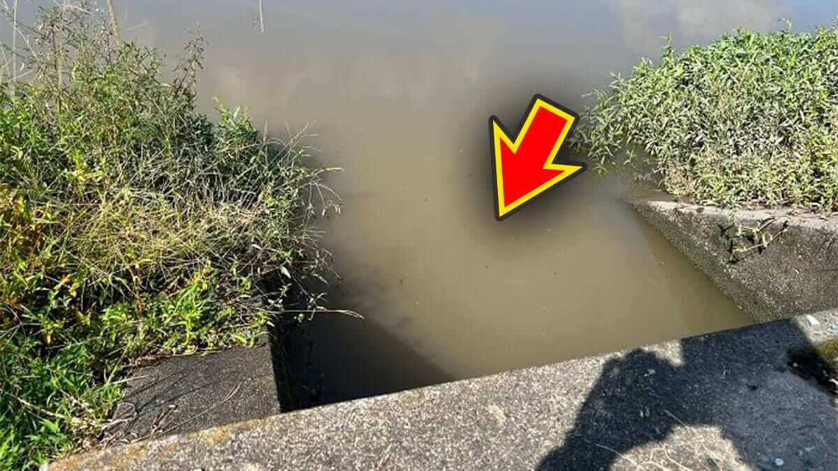 |水門を『ギミー』の“ジグスト”で通すと…。ルアーが抑え込まれるバイトが!「このルアーさえあれば安心かも」