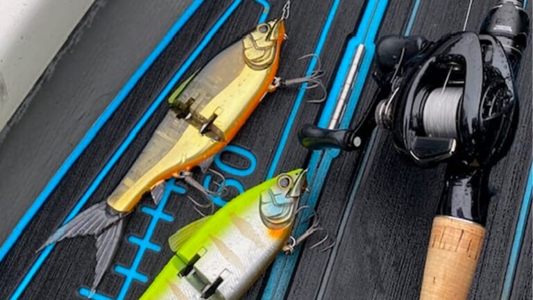 亀山湖をビッグベイトで攻める！ 50アップが飛び出してきたが…。フォローの『パインシュリンプ』はやっぱり安定！