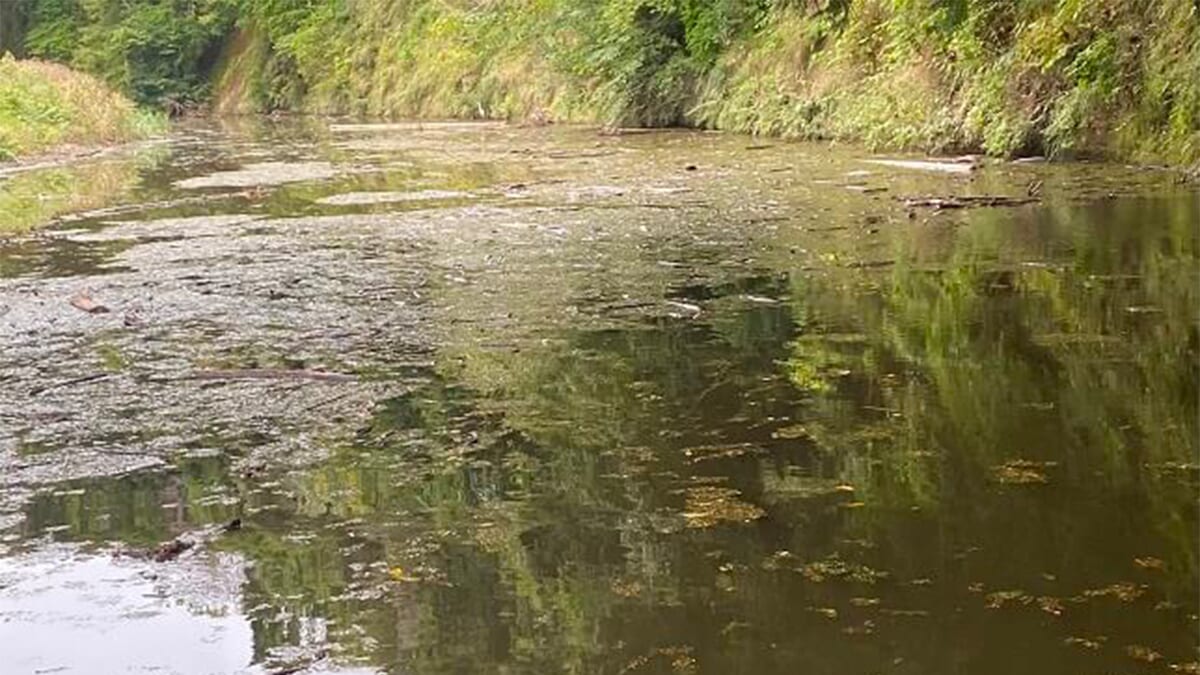 ｜城ノ上さんが笹川湖へ！ 苦戦の末、ヒットしたルアーはやはり？ 「キングジミーヘンジが大好きみたいです」