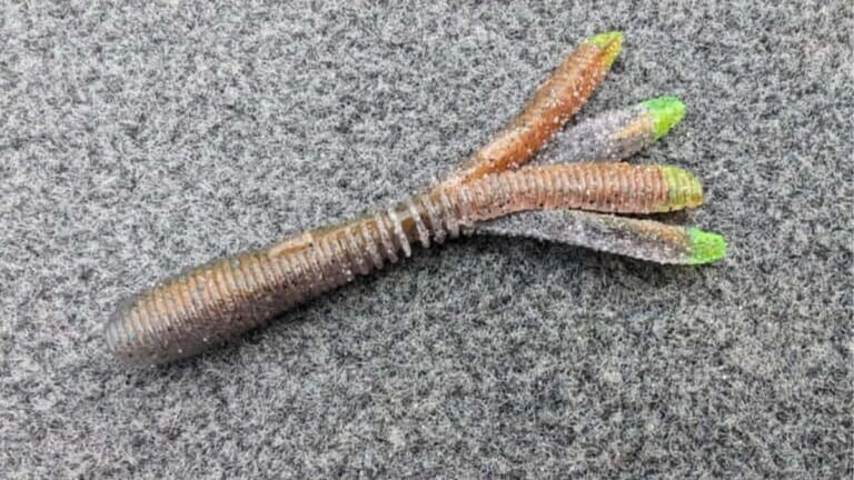 『クネリー』をフレアさせる新リグ!? “バサクラ”のプラクティスで釣れたリグを川村光大郎さんが公開。