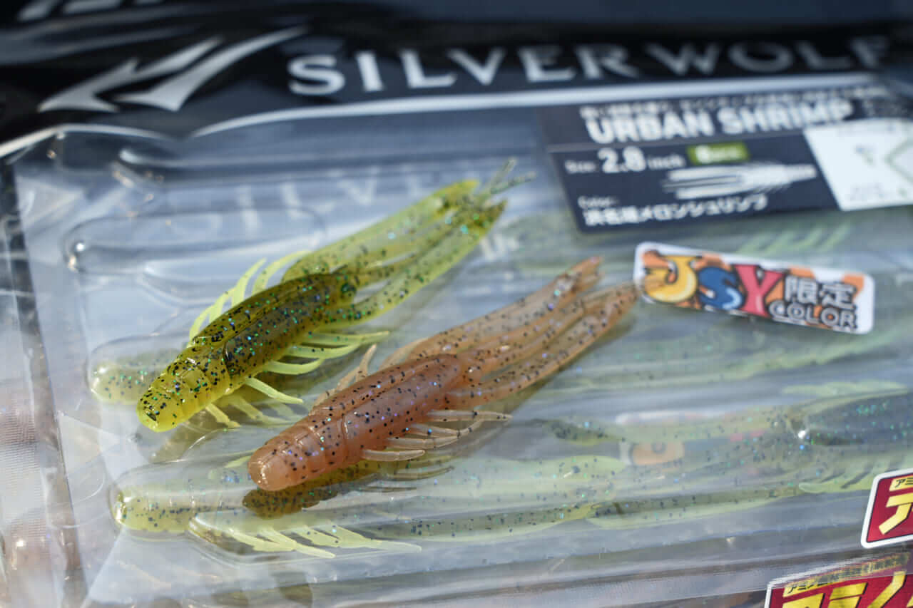 |【もりぞーのチニング全国行脚】界隈をざわつかせる新商品続々!「DAIWAの本気を感じさせるアイテムに期待!」