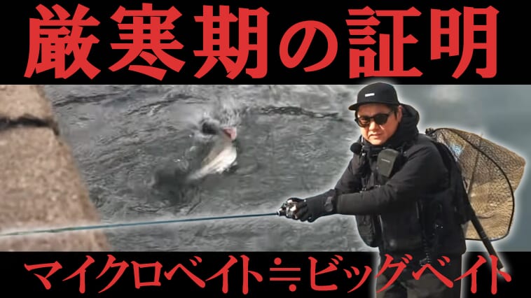 極寒デイゲーム！マイクロベイトをヒントにビッグベイトゲームを成立させる読み、道具、テクニック