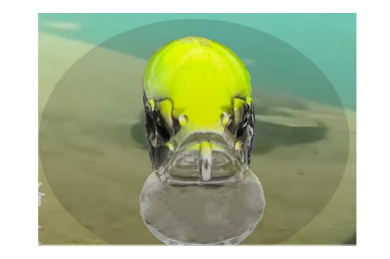 |現代仕様にブラッシュアップ!“名作タイドミノーSSR”が進化して復刻!「スペクター」の名を冠してシーバスを魅了するシャロースペシャルに。