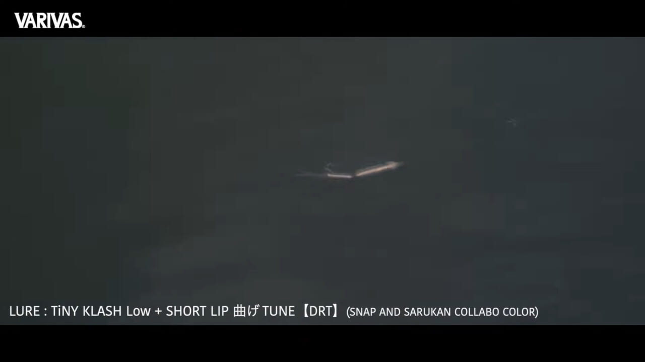 ｜極寒デイゲーム！マイクロベイトをヒントにビッグベイトゲームを成立させる読み、道具、テクニック