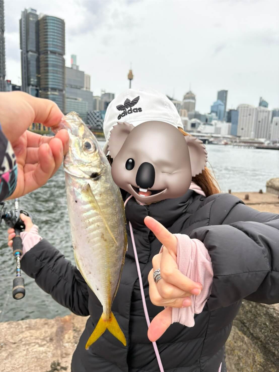 ｜オーストラリアでアジの呼び方って知ってる？ シドニーでアジングをしてみた結果…。