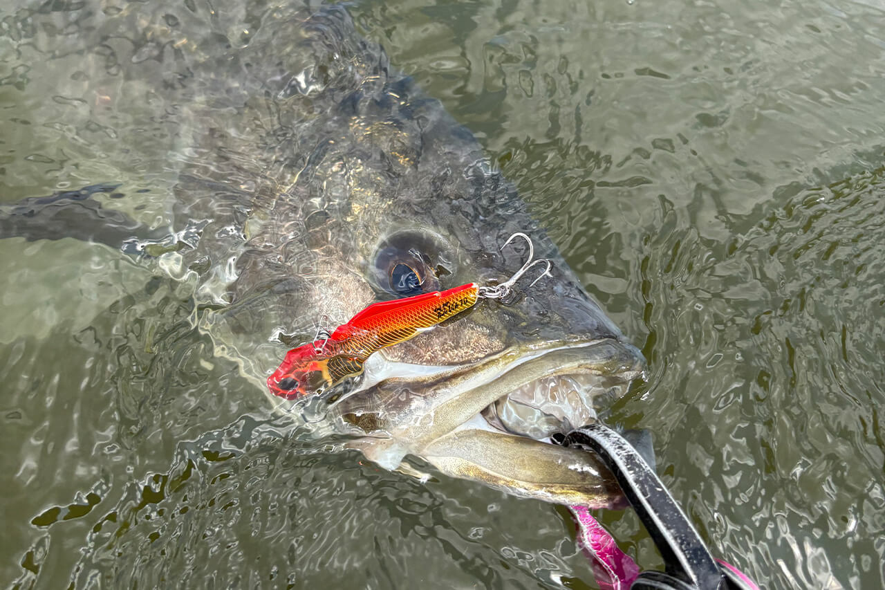 |「全身全霊でオススメです」デイゲームもナイトゲームも。この2つのルアーを使い分けてみてください。