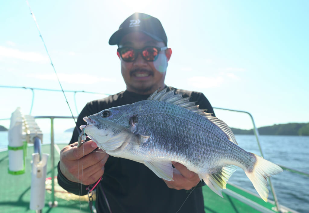 タイラバ 極厚が深場の釣りで重宝する理由】67cmを筆頭にデカ真鯛大爆釣！橋本翔