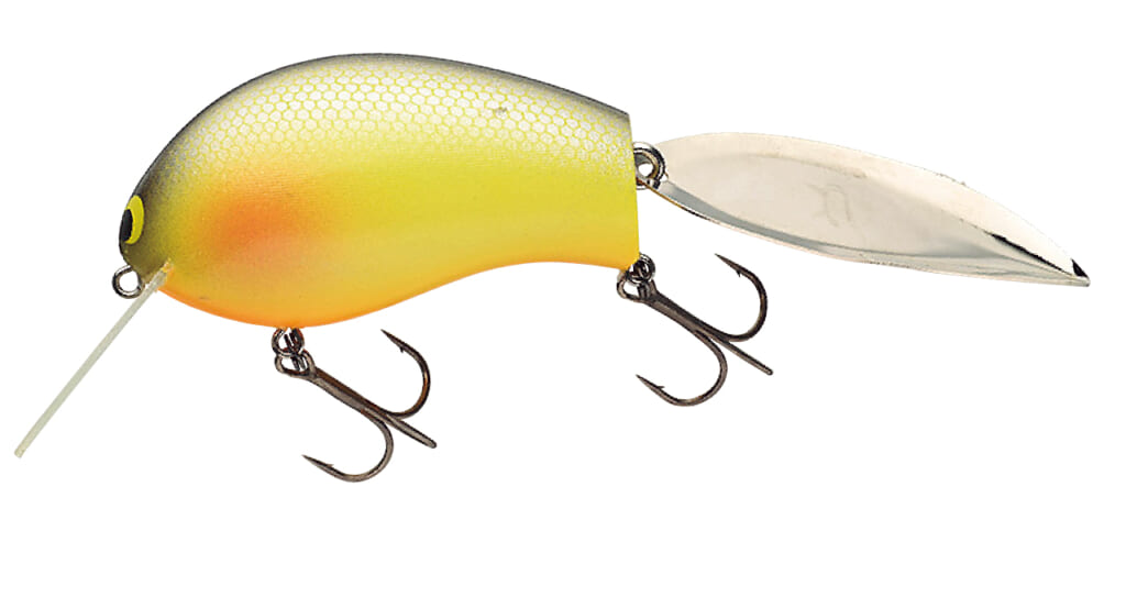 名前の由来には犬が関係!?】話題の新作ノイジー『レッドカブ』のすべて