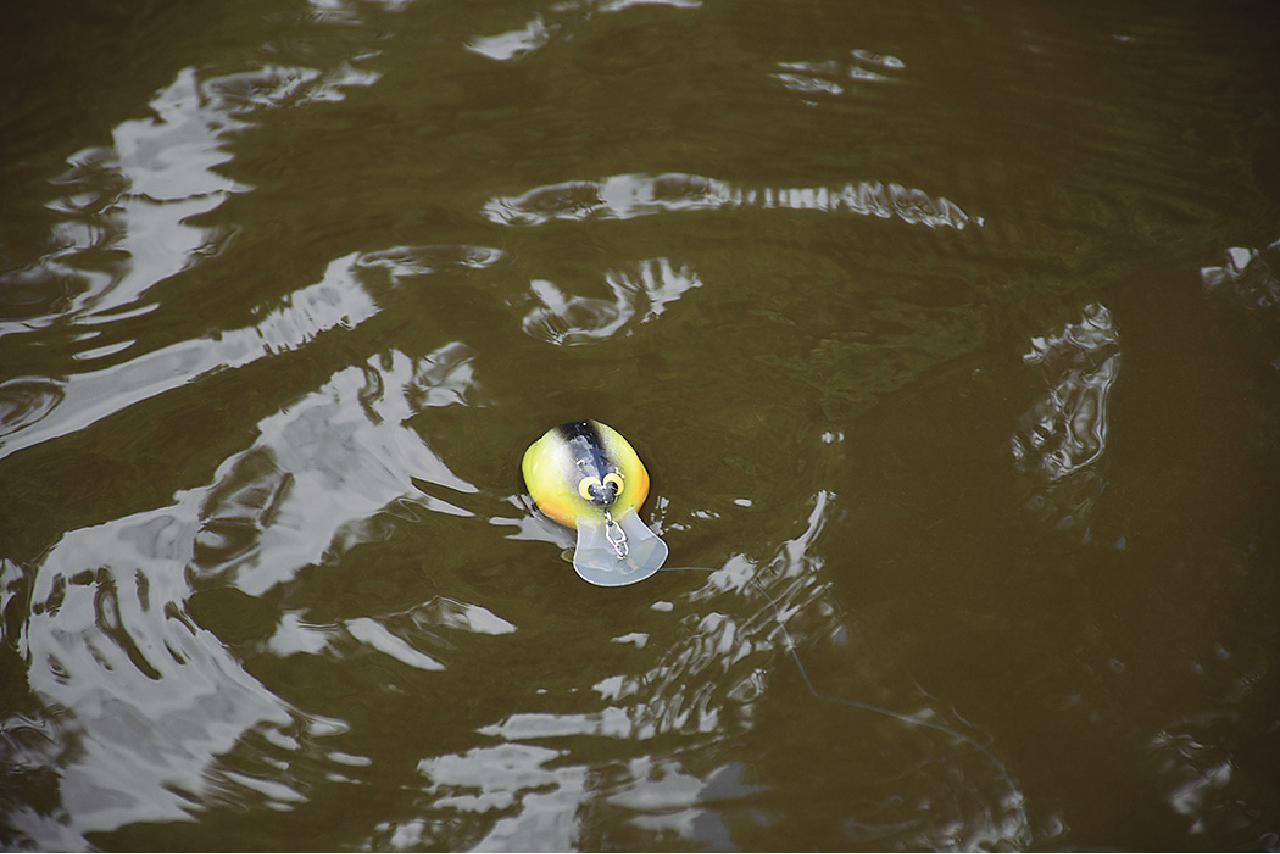 ｜【名前の由来には犬が関係!?】話題の新作ノイジー『レッドカブ』のすべてをグラスルーツの2人が解説！【将監川で奏でる水面協奏曲】