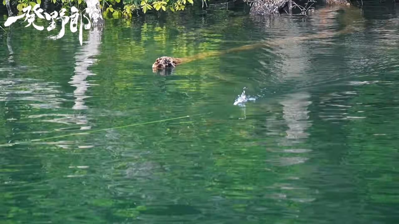 ｜キムケンの思考はバグってる?スモールマウス相手にナイロンリーダー30lb！ビッグノイジーがマイクロベイト！それが正解になるキムケンワールド『一発野郎』の魅力