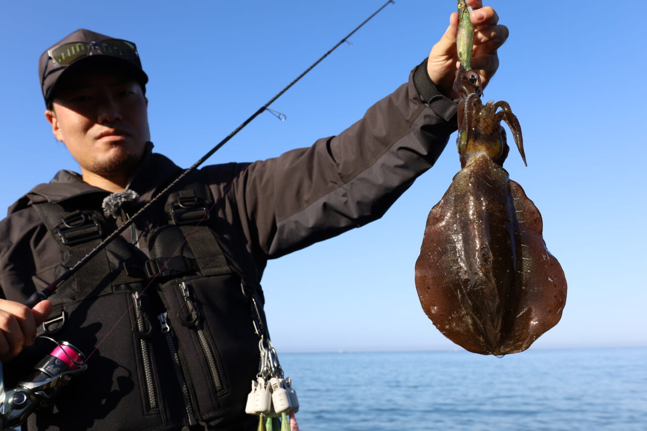 |【禁断企画】プロアングラーと一般アングラーがエギング対決! 湯川マサタカの『セフィアチャレンジ・宮城編】