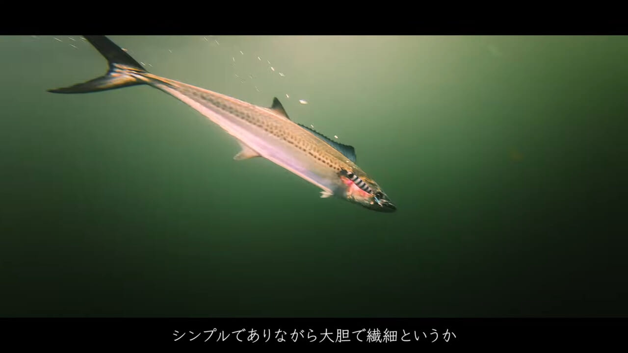 |【切られることはほぼありません】サワラブレードジギングを変えるタックルセレクト術