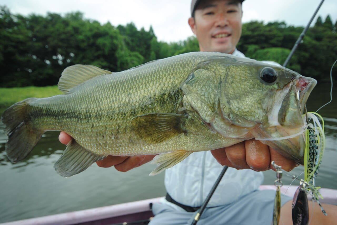 ｜シマノの低弾性カーボン『ローモジュラス』コンセプトシリーズが凄い！