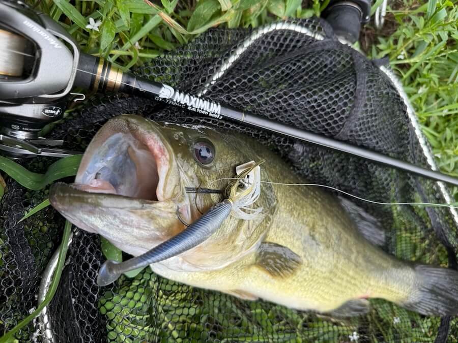|秋はやっぱり横方向の釣りが楽しい!足の速い魚には「無限ダダ流し」。ワイヤーベイトは絶対使って!