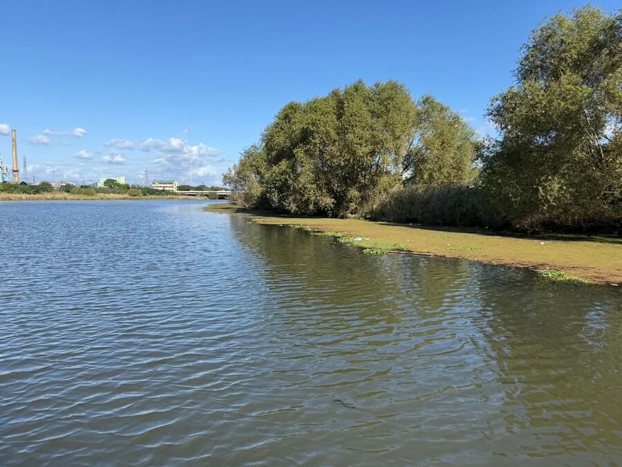|秋はやっぱり横方向の釣りが楽しい!足の速い魚には「無限ダダ流し」。ワイヤーベイトは絶対使って!