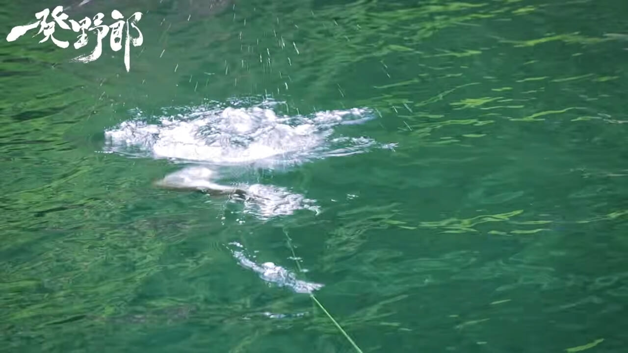 ｜キムケンの思考はバグってる?スモールマウス相手にナイロンリーダー30lb！ビッグノイジーがマイクロベイト！それが正解になるキムケンワールド『一発野郎』の魅力