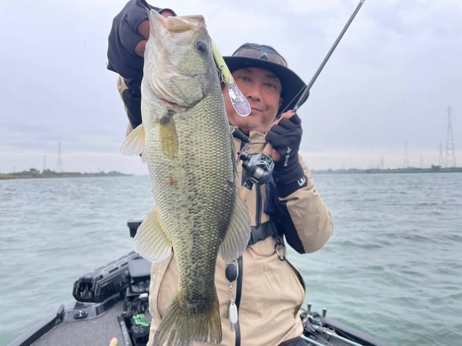 |秋のような初冬のような、気難しい季節。こういう時はかき集めて釣るしかない!「もっと冷え込んだほうがむしろ楽…」