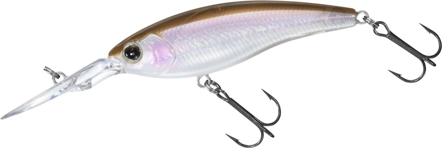 |今使いたい『スティーズサイレントシャッド』。DAIWAスタッフが教える“釣れる”使い方とは?