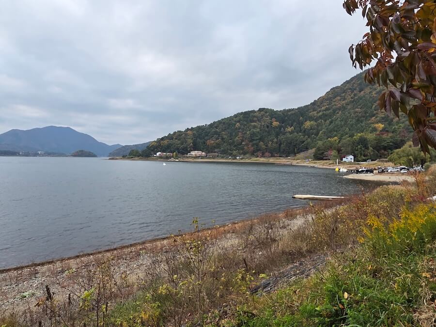 |渡り鳥が大量に飛来!「水草が食べられて減っちゃうんですよ」そんななか猛威を振るうルアーがコチラ!プロガイドが教える激押しカラーも。
