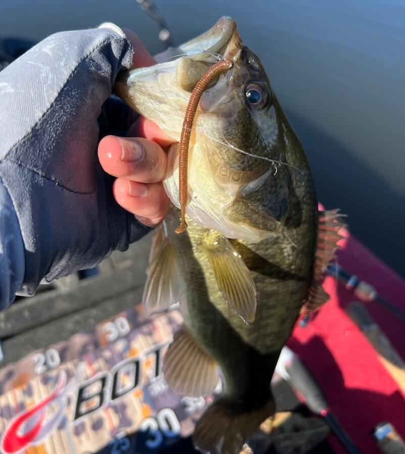 ｜「プラでは2日で1本、しかしサイズは良い」まさかの魚に邪魔されつつも戦い抜き…。ラッキーフィッシュ1本に救われた！？