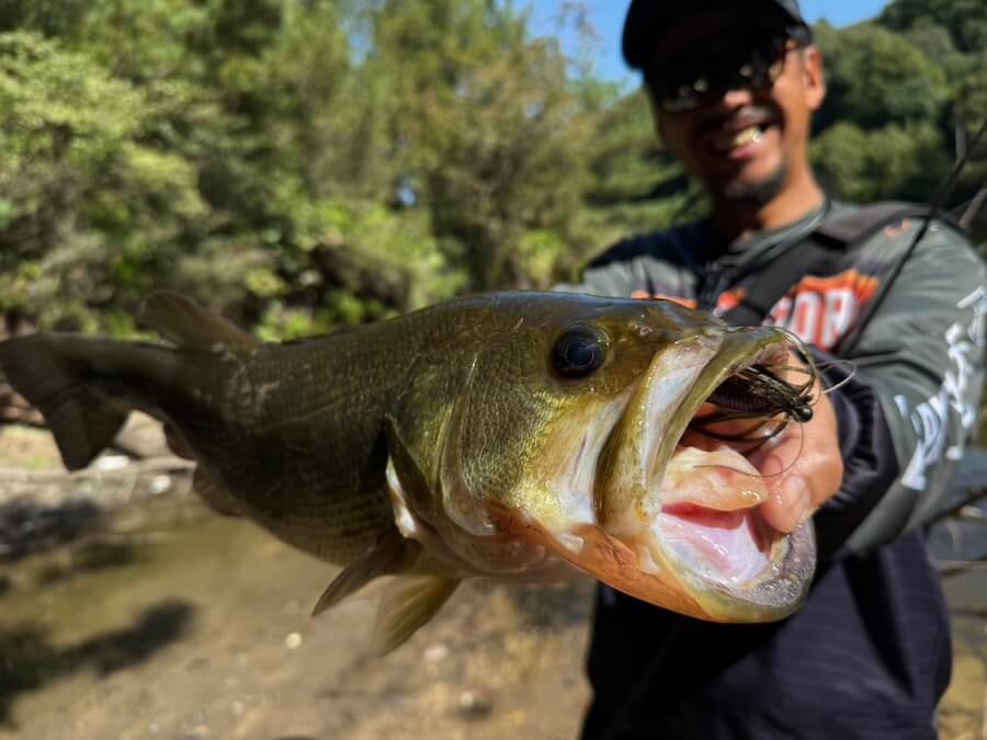 ｜「アベレージサイズ乱獲、サイズも混ざります」この秋に釣果を約束してくれる超盤石なルアーとは？レベルバイブとのローテでより強力パターンに