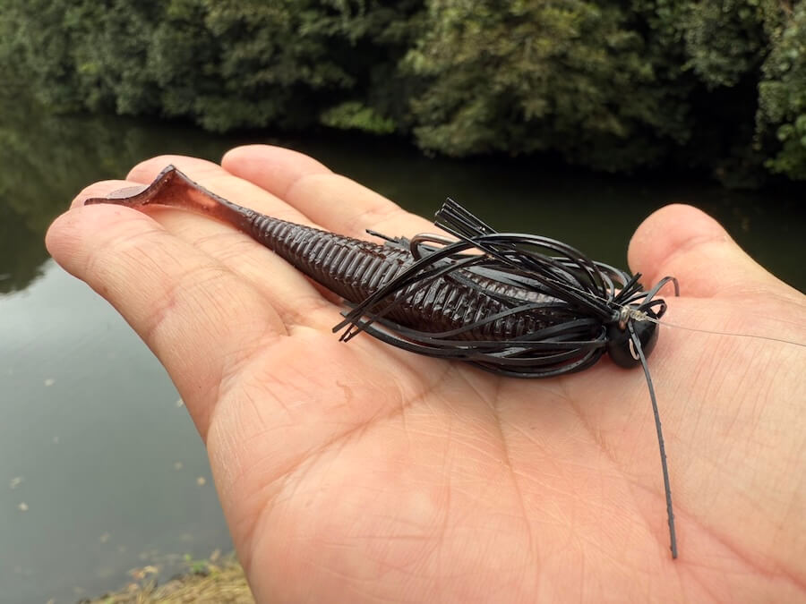 ｜「アベレージサイズ乱獲、サイズも混ざります」この秋に釣果を約束してくれる超盤石なルアーとは？レベルバイブとのローテでより強力パターンに