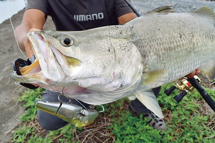 ｜海外釣行こそその魅力が伝わる⁉奥田学渾身のロッド『キャプチャー』のこだわり