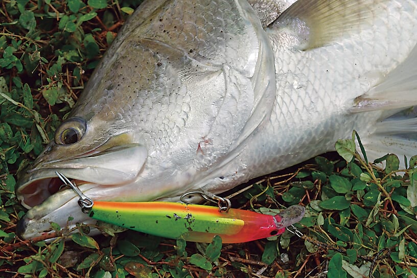 ｜海外釣行こそその魅力が伝わる⁉奥田学渾身のロッド『キャプチャー』のこだわり